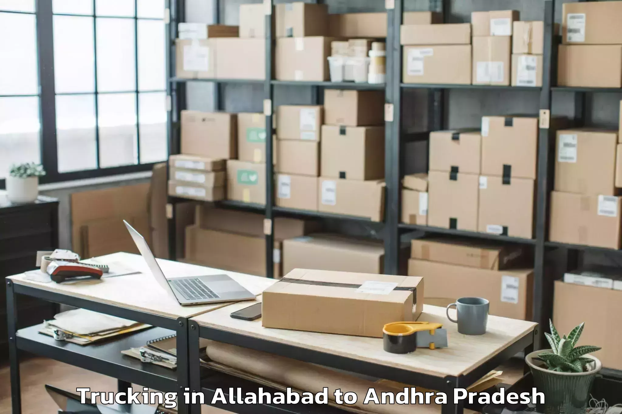 Professional Allahabad to Peddvaduguru Trucking